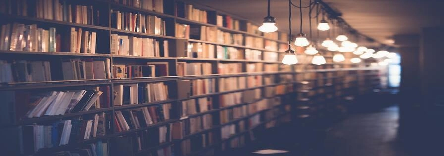 Library shelf with a lot of books.